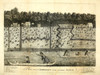 Plan Of An American New Cleared Farm. Detailed Print Shows Whites And Indians Traveling On The River Farm Structures Including Various Types Of Fences And Building. Ca. 1793. History - Item # VAREVCHISL030EC193