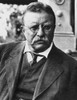 Theodore Roosevelt History - Item # VAREVCPBDTHROCS009