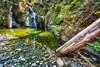 Falls Creek Poster Print by Tim Oldford - Item # VARPDXO282D