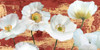 http://c328301.r1.cf1.rackcdn.com/PDX2LN4187SMALL.jpg