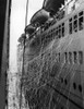 Cunard Liner Carolina Leaves Port. Ca. 1960. Courtesy Csu ArchivesEverett Collection. History - Item # VAREVCSBDNAUTCS001