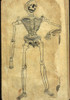 Human Skeleton Leaning On A Scythe History - Item # VAREVCHISL015EC298