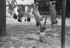 Children Playing At A Playground History - Item # VAREVCHCDLCGBEC355