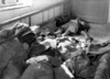The 1956 Hungarian Uprising. Bodies Of Some Of The Fifty Rebels In Magyaovar History - Item # VAREVCCSUA001CS490