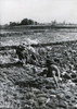 Three Men Of The Same Family Pull A Plow Through A Rice Field In China. A Fourth Steers And Pushes The Plow. May 1948. - History - Item # VAREVCHISL038EC699