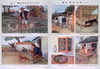 Public Health Education In Red China. Two Posters Contrast Bad Hygiene History - Item # VAREVCHISL015EC076