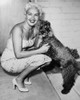 Betty Grable With Her French Poodle Punk Still - Item # VAREVCPBDBEGREC215