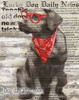 Lucky Dog Poster Print by Carol Robinson (24 x 36) # 14917