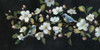 http://c328301.r1.cf1.rackcdn.com/PDX17244LARGE.jpg