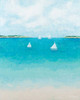 Baby Beach Sailboats Poster Print by Ann Marie Coolick - Item # VARPDX11369K