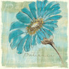 Spa Daisies II Poster Print by Chris Paschke - Item # VARPDX10896