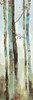 Towering Trees II Poster Print by Allison Pearce - Item # VARPDXPS088A