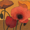 Poppy Curry I Poster Print by Shirley Novak - Item # VARPDX1217