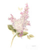 Floursack Florals on White VI Poster Print by Danhui Nai - Item # VARPDX41484