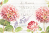 Maison Des Fleurs II Poster Print by Danhui Nai - Item # VARPDX45832