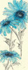 Daisy Dreams II Poster Print by Chris Paschke - Item # VARPDX10733