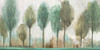 Tall Trees Poster Print by Allison Pearce - Item # VARPDXPS191A