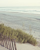 Beach Fence I Poster Print by Kathy Mansfield - Item # VARPDX8954M