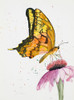 Butterfly Nectar Poster Print by Jan Odum - Item # VARPDX13549B