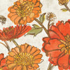 Tangerine Square II Poster Print by Sue Schlabach - Item # VARPDX10703