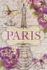 Beautiful Peonies in Paris Poster Print by Patricia Pinto - Item # VARPDX10120F