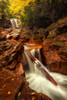 Natures Path Poster Print by Andy Amos - Item # VARPDX13531K