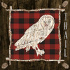 Plaid Birch Trail III Poster Print by Gina Ritter - Item # VARPDX10266C