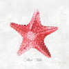 Red Starfish Poster Print by Eva Watts - Item # VARPDXEW137A
