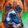 Puppy Dog Eyes II Poster Print by Walt Johnson - Item # VARPDX11029C