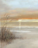 Malibu Sunset Poster Print by Sally Swatland - Item # VARPDX19798