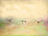 Seagulls in the Sky I Poster Print by Ynon Mabat - Item # VARPDX10677
