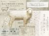 Sheep On Ephemera I Poster Print by Gwendolyn Babbitt - Item # VARPDXBAB490