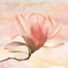 Dreamy Magnolia I Poster Print by Nan - Item # VARPDX19831