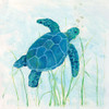 Reef Turtle I Poster Print by Sally Swatland - Item # VARPDX40117