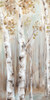 Sunset Birch Forest I Poster Print by Eva Watts - Item # VARPDXEW193A