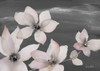 Blooming Whispers on Chalkboard II Poster Print by Lanie Loreth - Item # VARPDX12935J
