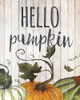 Hello Autumn Gourds I Poster Print by Elizabeth Medley - Item # VARPDX11580AA