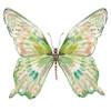 Soft Wings I Poster Print by Carol Robinson - Item # VARPDX40092
