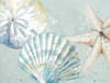 Beach Shells Poster Print by Patricia Pinto - Item # VARPDX12440F