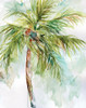 Palm Breezes I Poster Print by Carol Robinson - Item # VARPDX19790