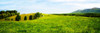 Mountain Vista I Poster Print by Alan Hausenflock - Item # VARPDXPSHSF2260