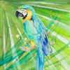 Colorful Parrot Poster Print by Patricia Pinto - Item # VARPDX12524A