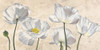 Poppies in White Poster Print by Villa Luca - Item # VARPDX2LC4504