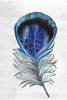 Indigo Feather III Poster Print by Eva Watts - Item # VARPDXEW166A