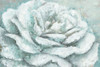White Rose Splendor Poster Print by Marie-Elaine Cusson - Item # VARPDXRB13024MC