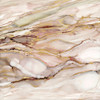 Graceful Marble Poster Print by Carol Robinson - Item # VARPDX19681