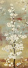 Blossom Canopy II by Asia Jensen - Item # VARPDXJNN34M