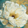 Zuzu Peony Gold I Poster Print by Patricia Pinto - Item # VARPDX11390A