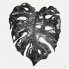 Dark Leaf Palm II Poster Print by Patricia Pinto - Item # VARPDX11938H