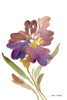 Iris Poster Print by Lanie Loreth - Item # VARPDX12261